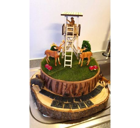 posed pre poľovníka na tortu