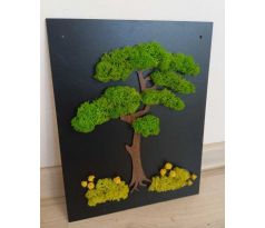 Machový obraz čierny2