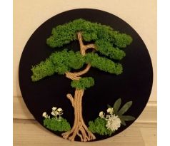 Machový obraz čierny bonsaj