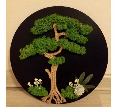 Machový obraz čierny bonsaj